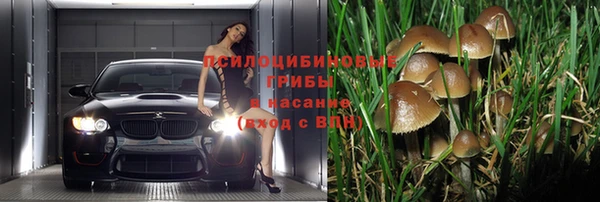 ГАЛЛЮЦИНОГЕННЫЕ ГРИБЫ Абдулино